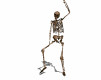 2007313598825.gif