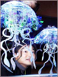 电子水母　养在水缸里.jpg