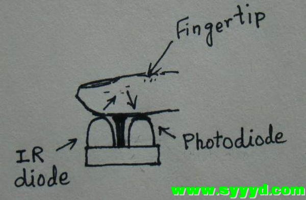 heart-rate-measurement-6.jpg