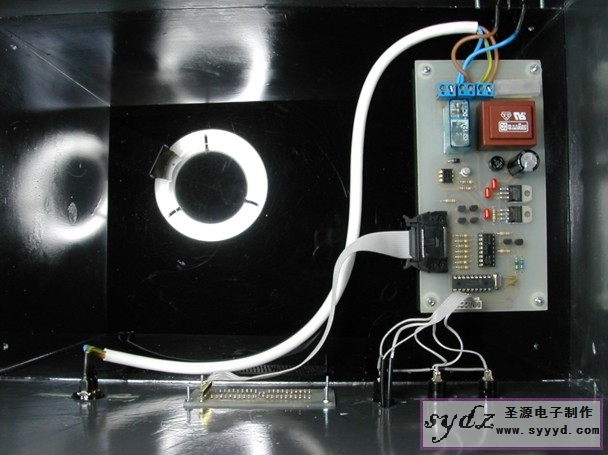 photo9.jpg